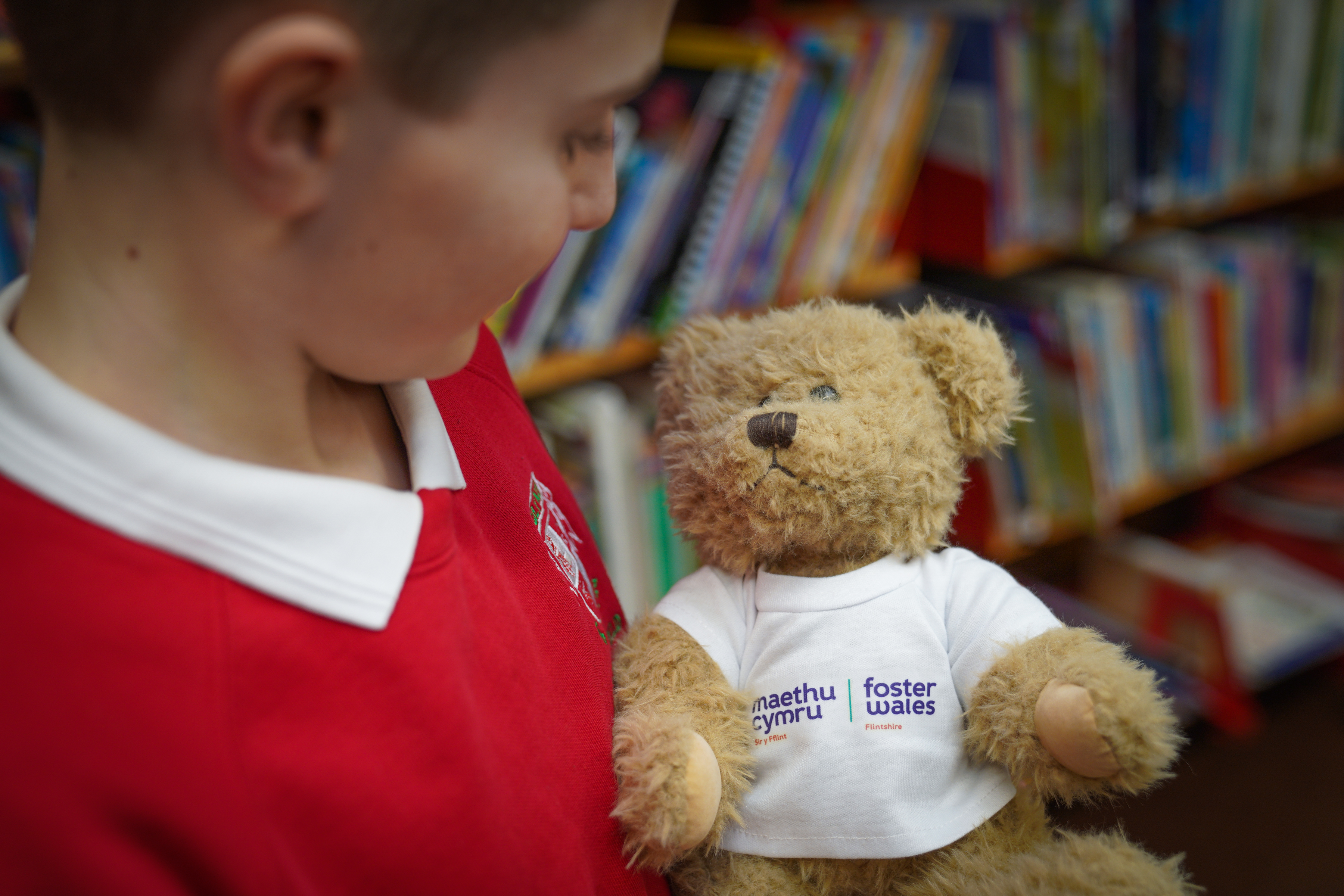 foster bear campaign in the classroom